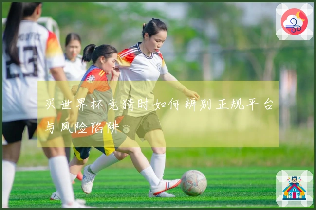 买世界杯竞猜时如何辨别正规平台与风险陷阱