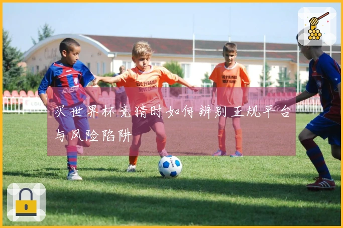买世界杯竞猜时如何辨别正规平台与风险陷阱