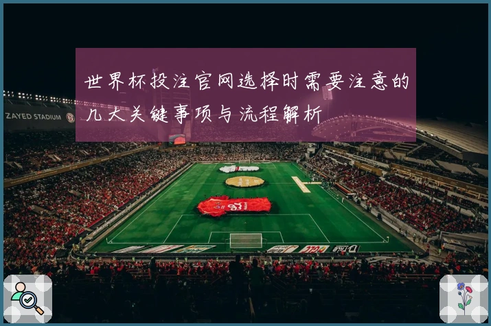 世界杯投注官网选择时需要注意的几大关键事项与流程解析